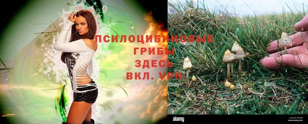 гидропоника Алексин