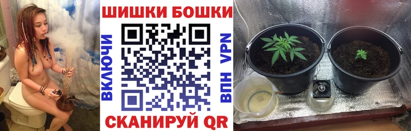 МАРИХУАНА ГИДРОПОН  закладки  Борзя 